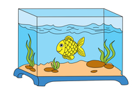 长方体鱼缸怎么画图片