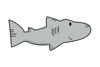 柠檬鲨简笔画可爱图片