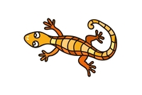 gecko