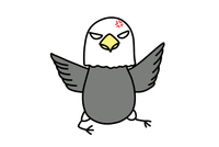 美国白头鹰简单画法图片