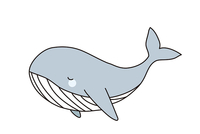 龙宫大白鲸简笔画图片