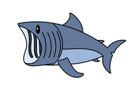 大白鲨简笔画 巨齿鲨图片