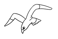 海鸥吃鱼简笔画图片