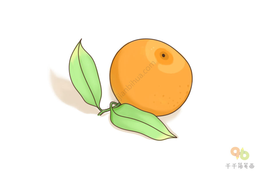 砂糖橘简笔画图片图片