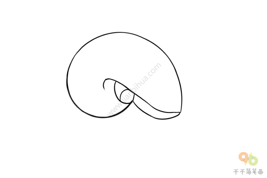 直壳鹦鹉螺简笔画图片
