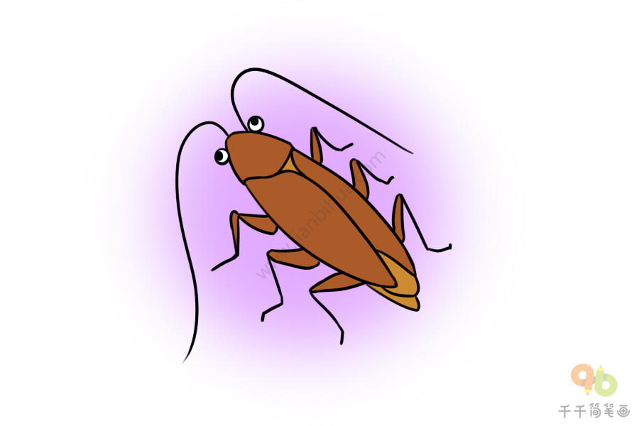 蟑螂的样子 简笔画图片