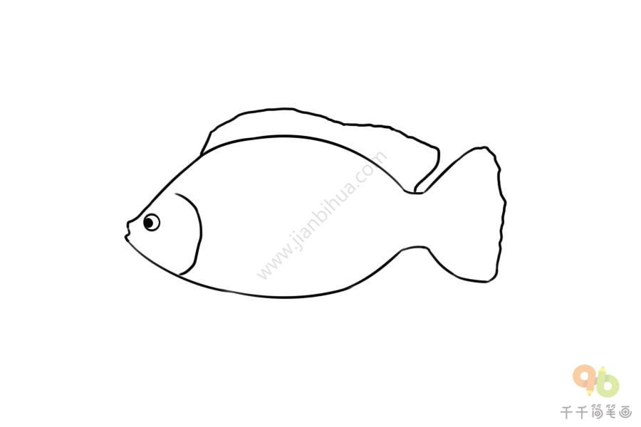 罗非鱼的画法图片