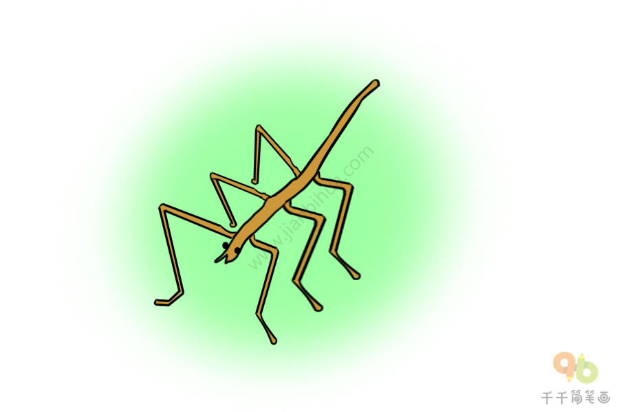 竹节虫的简笔画图片