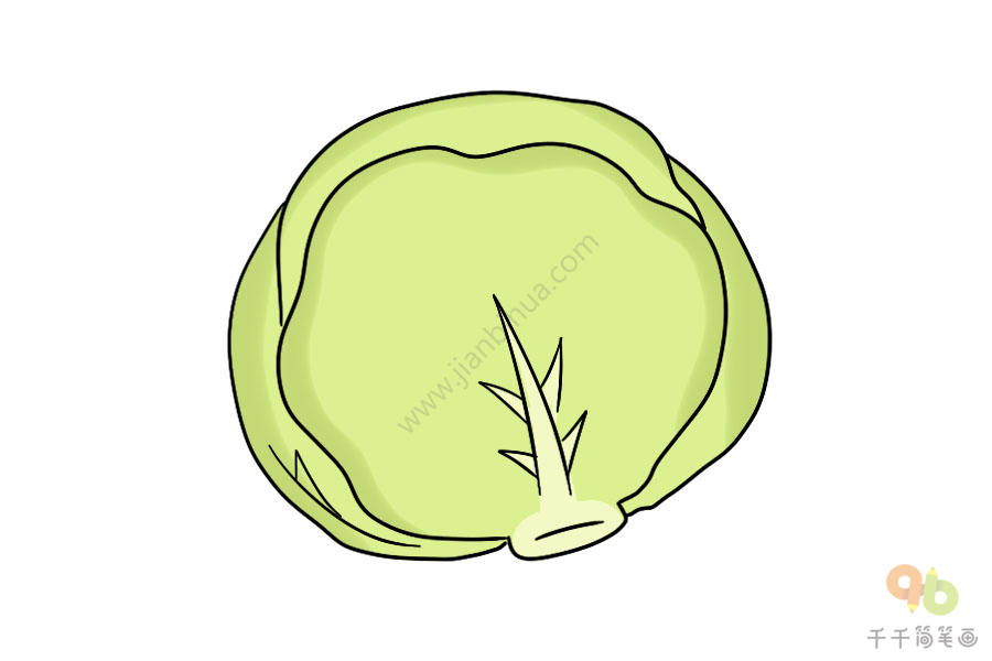 圆形的蔬菜简笔画图片