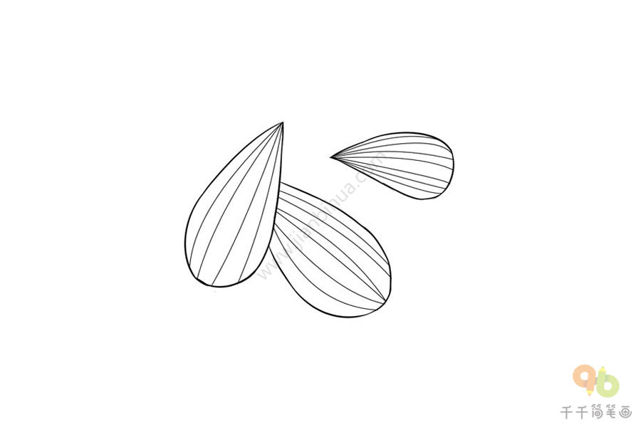 瓜子画法图片