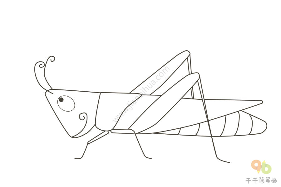 蚂蚱简笔画法图片