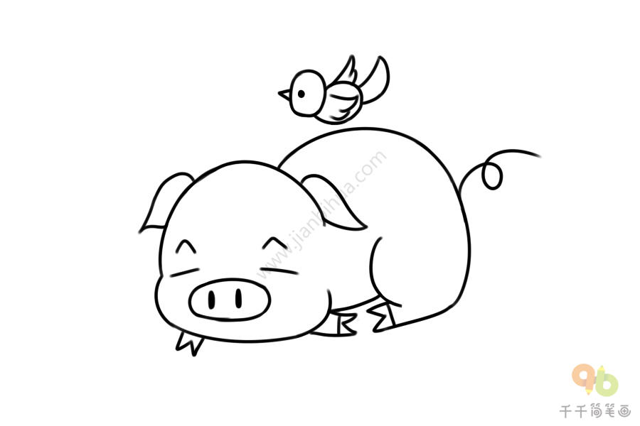 小猪的画法步骤图片