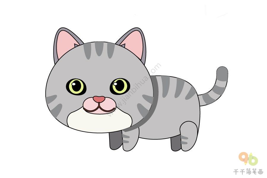 灰色的猫咪简笔画步骤图