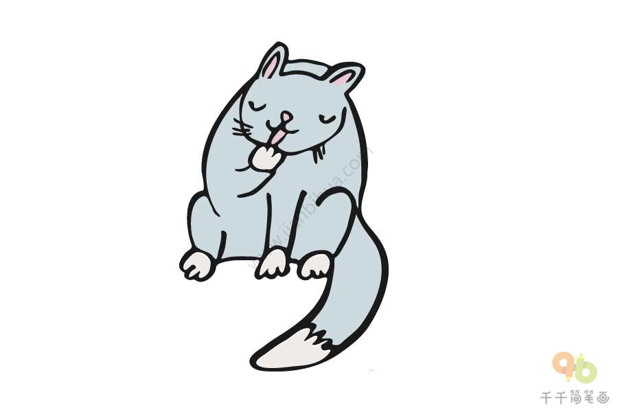 舔手的小猫简笔画步骤图