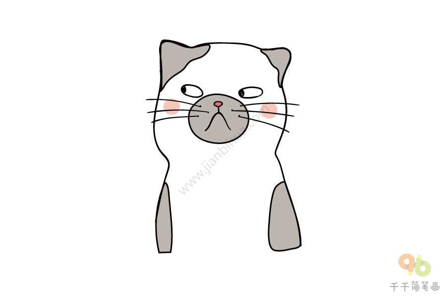 生气的猫简笔画步骤图