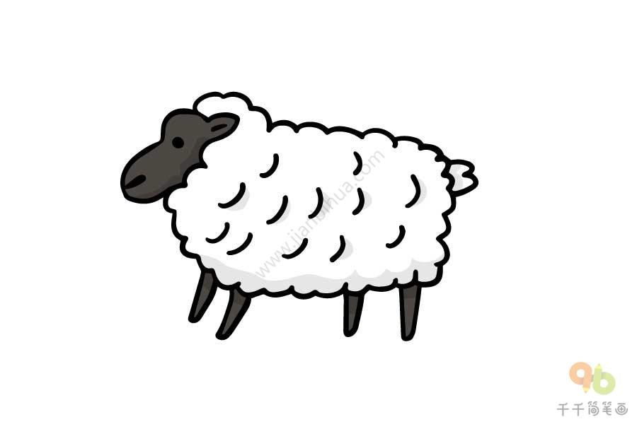 花绵羊简笔画