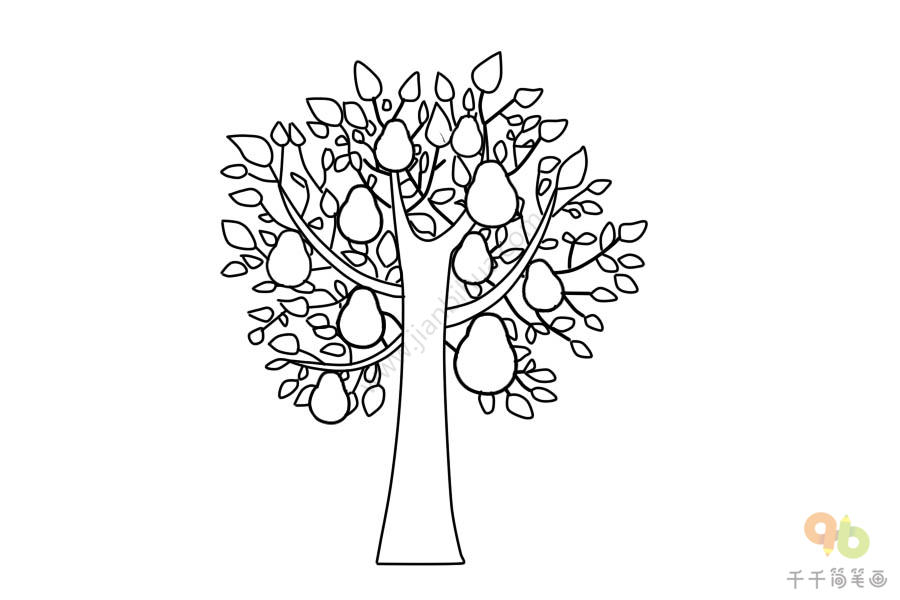 梨树怎么画简单图片
