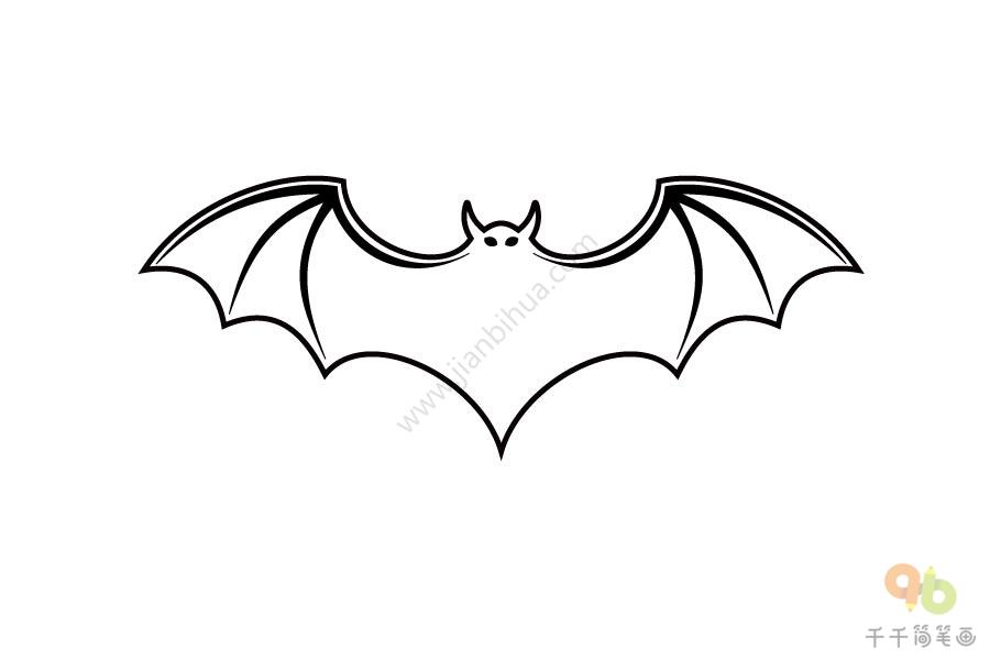 吸血蝙蝠图片简笔画图片