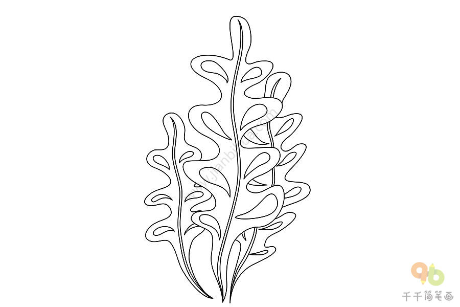 海藻的简单画法图片