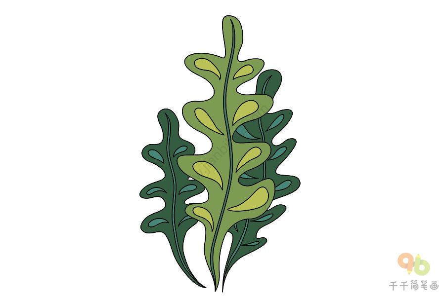 藻类简笔画拟人图片