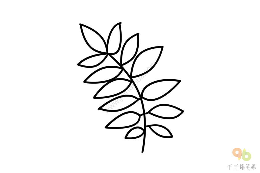 槐树叶的形状怎么画图片