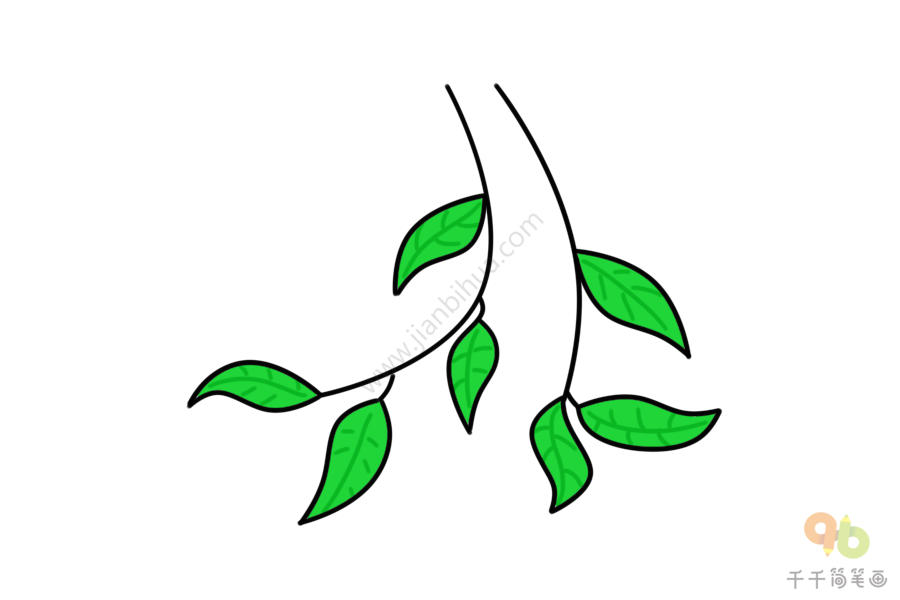 柳树的叶子画法图片