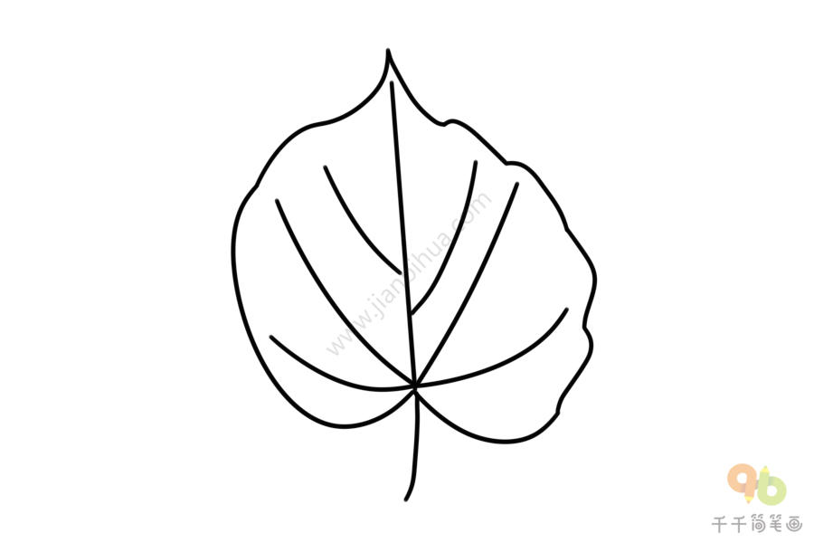 杨树的叶子怎么画图片