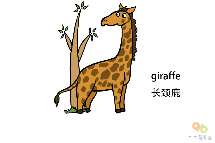 长颈鹿的英文怎么写图片