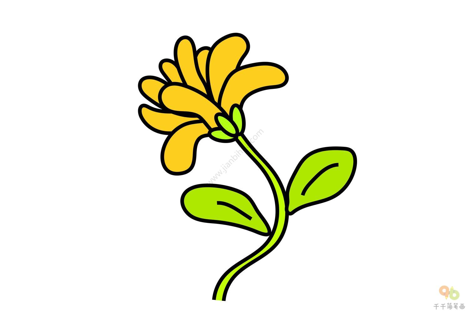 简笔画图片大全 简单漂亮的菊花画法图解 - 有点网 - 好手艺