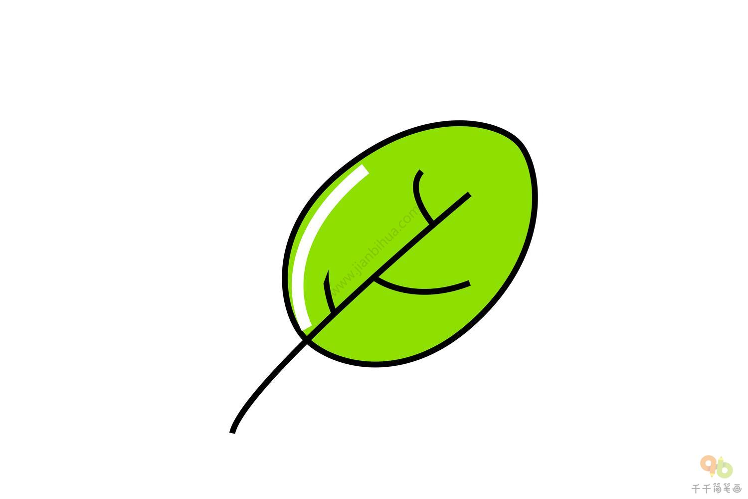 嫩绿的叶子简笔画步骤图_绿色植物