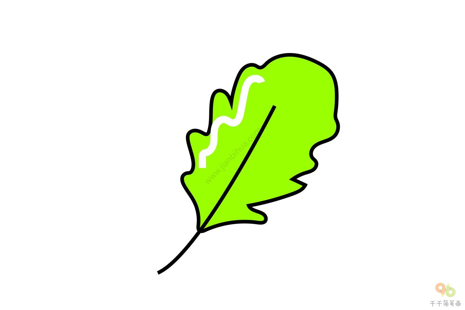 叶子简笔画 绿色图片