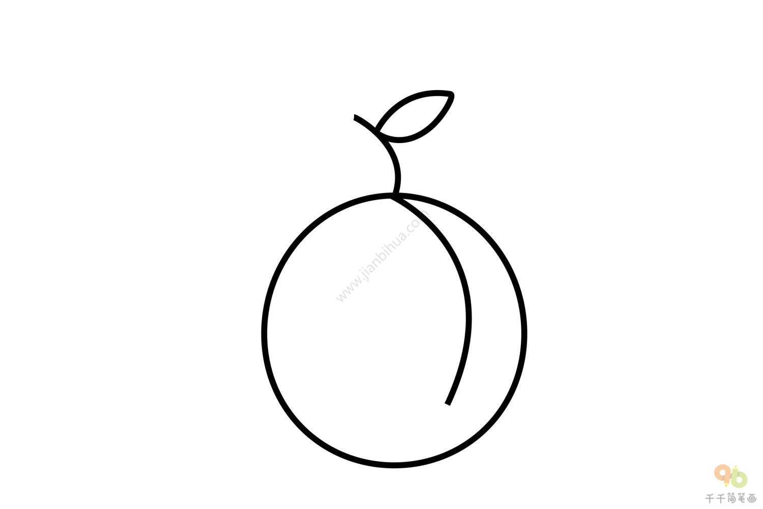 六年级孩子超简单的学画图解教程 好看简笔画桃子的画法💛巧艺网