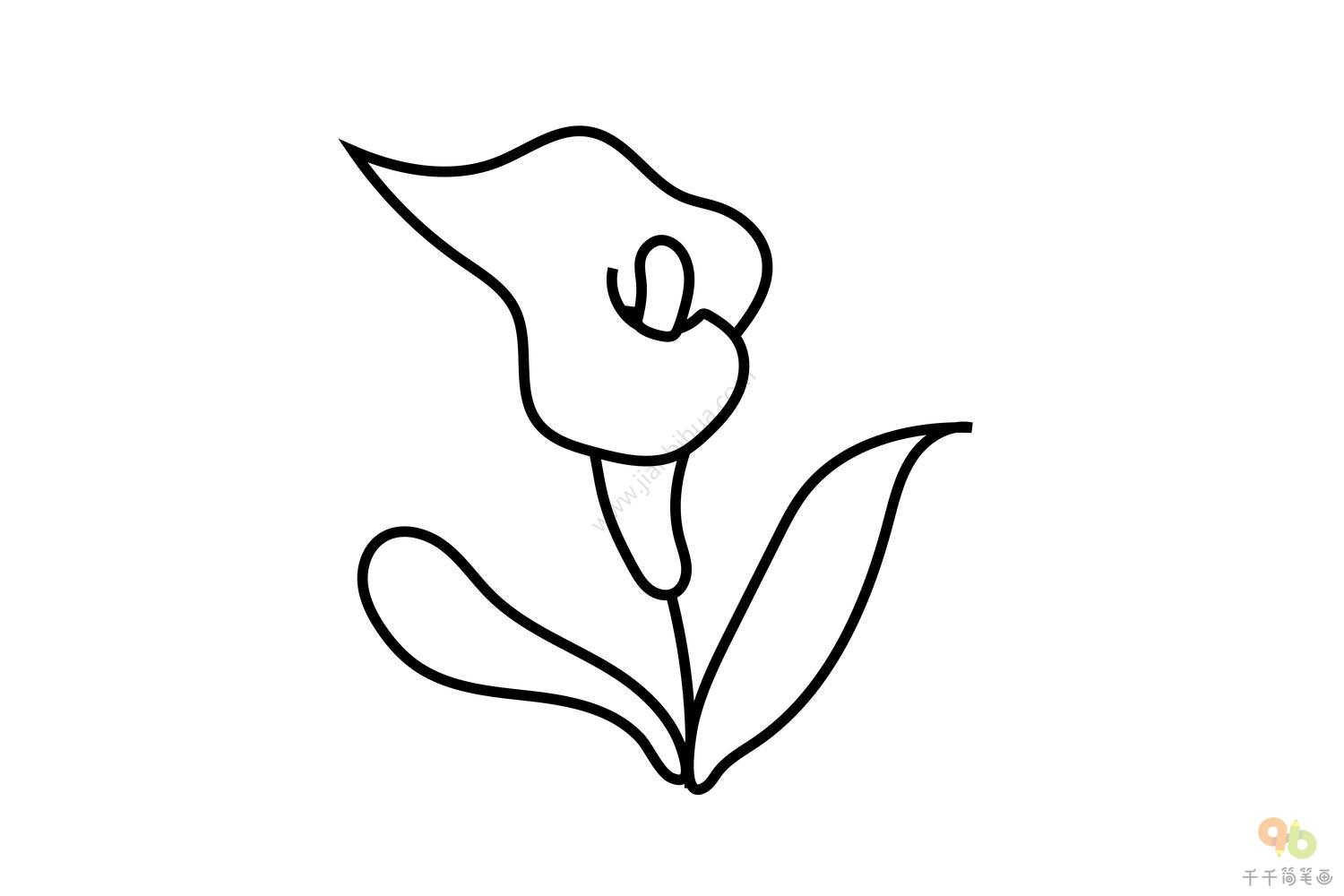 轻松易学马蹄莲简笔画