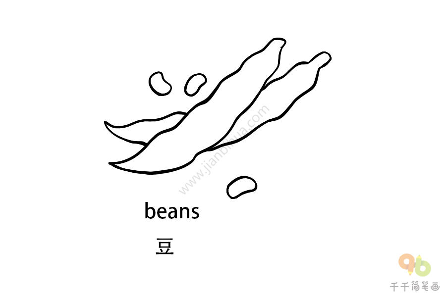 beans简笔画图片