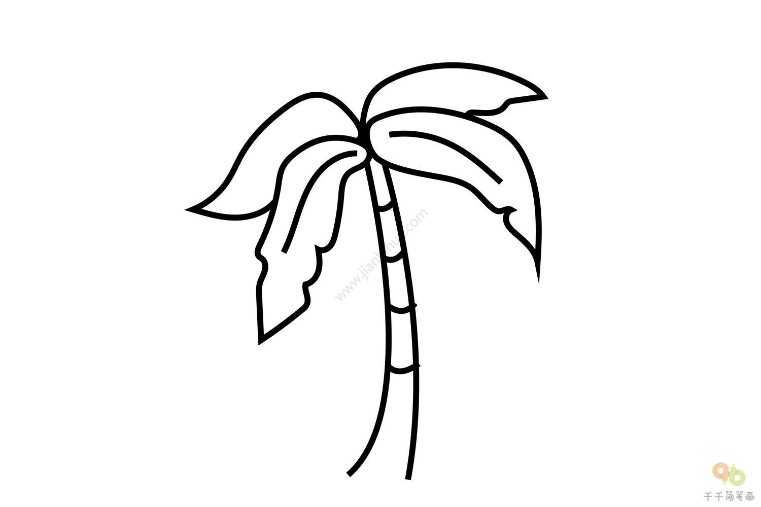 椰树与海图片素材-编号09288855-图行天下