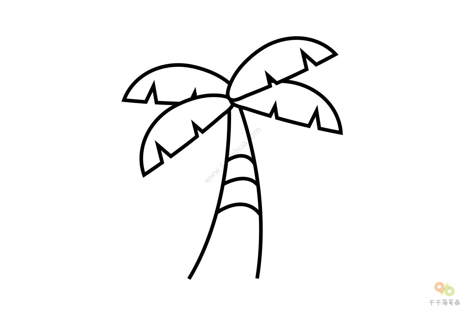 夏天的椰子树简笔画图片 - 制作系手工网