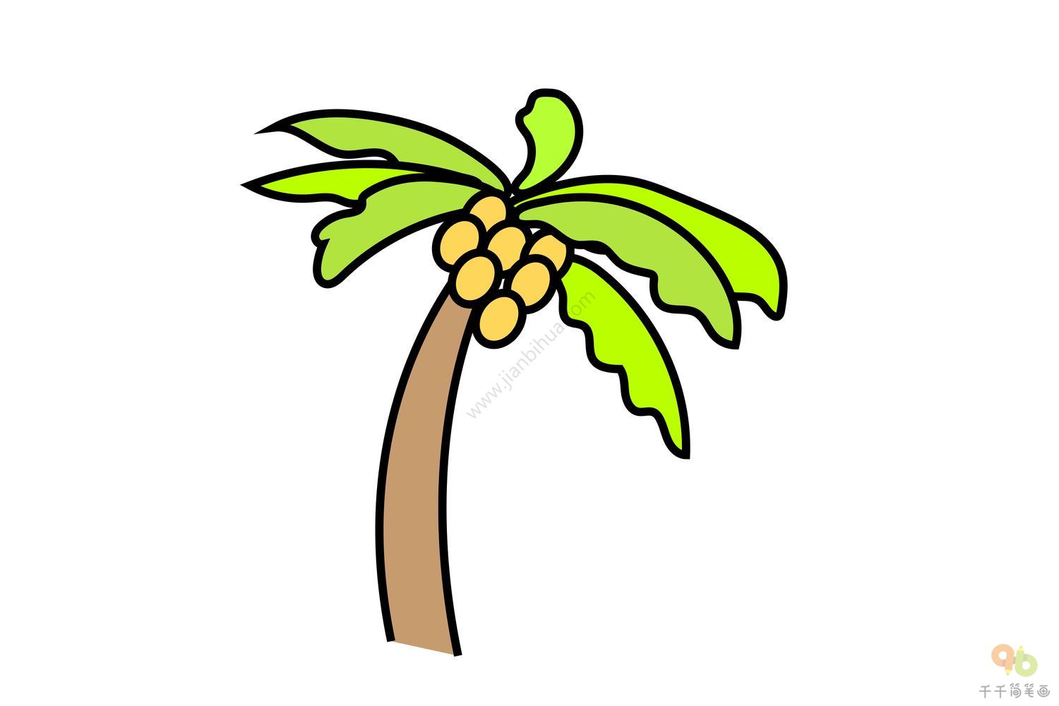 椰子树简笔画图片大全 简单易学_椰子树简笔画