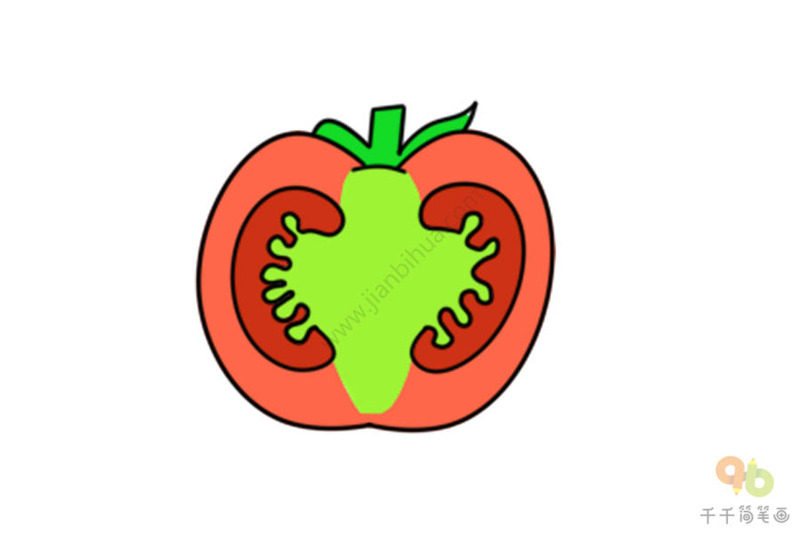 西红柿横切面简笔画图片