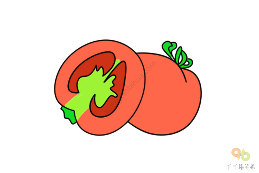 西红柿横切面简笔画图片