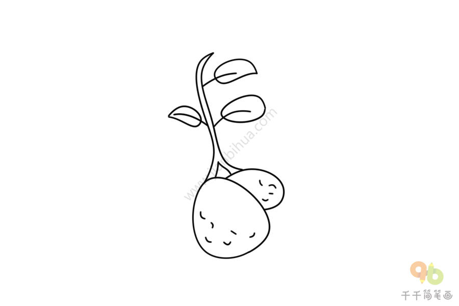 发芽的土豆简笔画图片