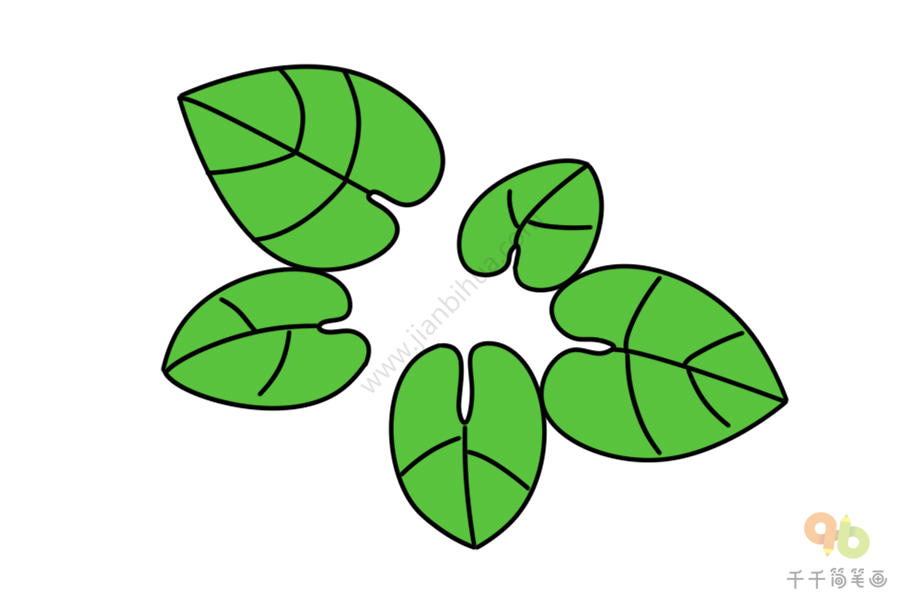 龟背竹简笔画叶子图片