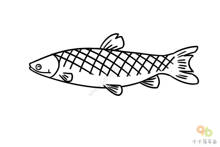 草鱼画法图片
