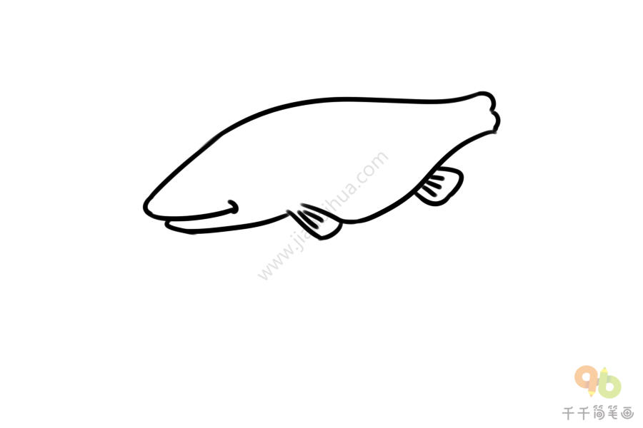桂鱼简笔画的画法图片