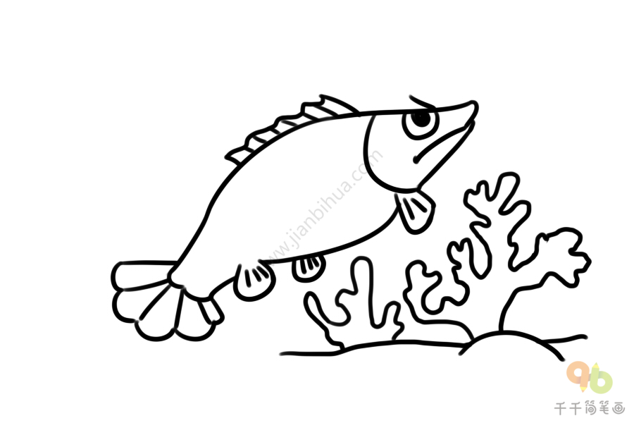 桂鱼简笔画的画法图片