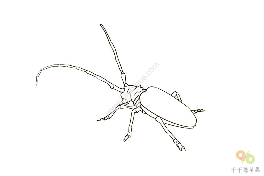 黑色的天牛簡筆畫步驟圖