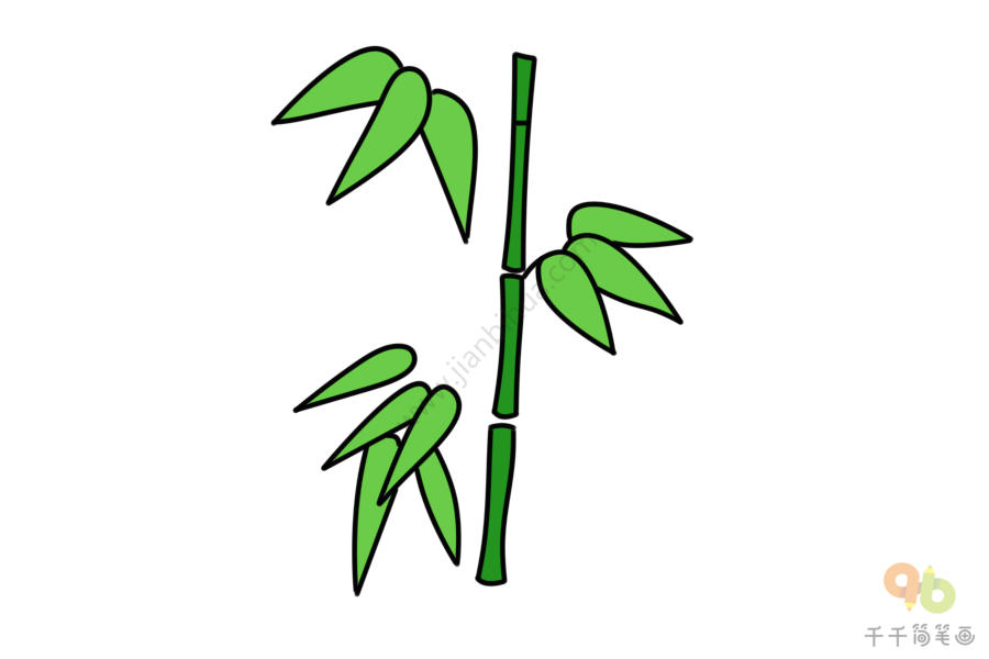 竹子的简笔画法彩色图片