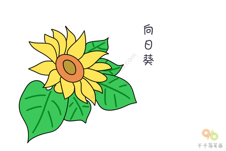 花开简笔画彩色图片