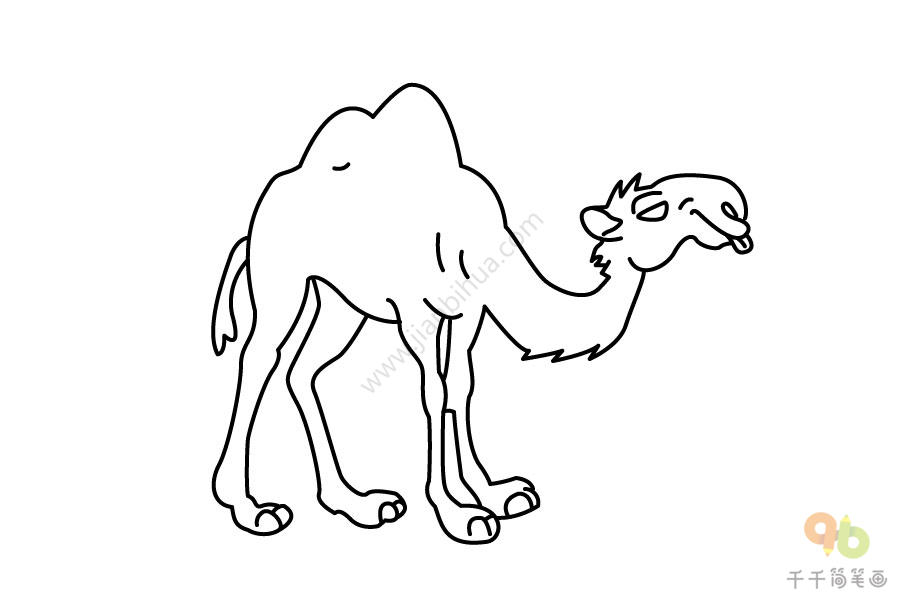 沙漠骆驼简笔画 简单图片