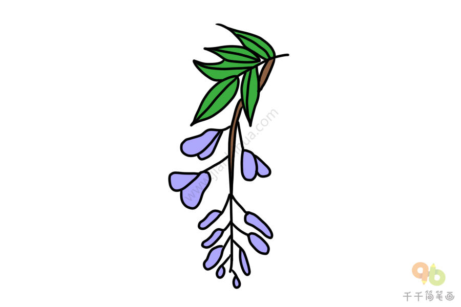 美丽的藤萝简笔画大全