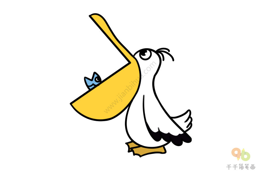 q版鹈鹕简笔画,鹈鹕简笔画彩色,鹈鹕图片简笔画,鹈鹕鸟简笔画图片